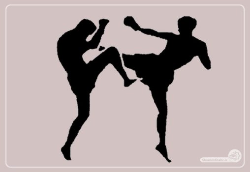 نخستین مسابقات استانی کاراته وان در شاهین شهر