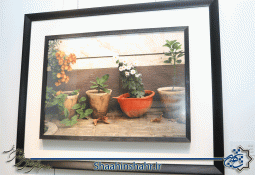 گزارش تصویری نمایشگاه عکس دل گردی