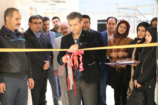 افتتاح نمایشگاه هنرهای تجسمی پدیده درخشان