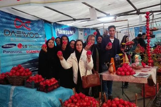 استقبال بانوان از تور های گردشگری فرهنگسرای پردیس