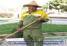 دل پاک پاکبان شهر